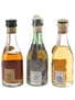 Torres Fontenac & Gran Torres Brandy Spanish Brandy 3 x 4.2cl-4.6cl