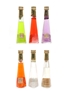 Casoni Cristallizzato Liqueurs Apericum, Certosa, Cherry, Mandarino, Sambuca 6 x 4cl / 40%