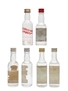 Assorted Vodkas Kulov, Moonshine, Smirnoff, Stolichnaya 6 x 5cl