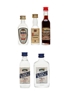 Assorted Sambuca Bora, Borghetti, Casoni, San Marco 5 x 2.3cl-5cl