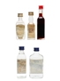 Assorted Sambuca Bora, Borghetti, Casoni, San Marco 5 x 2.3cl-5cl