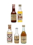 Assorted Brandy Of The World Fuentes, Christian Brothers, Golden Eagle, Sorel & Valdespino 5 x 3cl-5cl