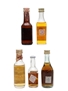 Assorted Brandy Of The World Fuentes, Christian Brothers, Golden Eagle, Sorel & Valdespino 5 x 3cl-5cl