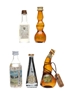 Assorted Italian Grappa Buton, Contadin, Kansas, Millefiori & Toscoliquoristica 5 x 2.5cl-4cl