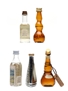 Assorted Italian Grappa Buton, Contadin, Kansas, Millefiori & Toscoliquoristica 5 x 2.5cl-4cl