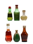 Assorted Liqueurs  6 x 2.5cl-5cl