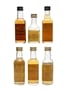 Assorted Blended Scotch Whisky  6 x 5cl