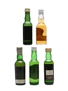 Assorted Blended Scotch Whisky  5 x 5cl