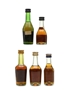 Assorted Cognac Hine, Hennessy, Martell, Camus & Delamain 5 x 5cl