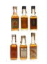 Assorted Whiskey Inc. Jack Daniel's & Jim Beam 6 x 5cl