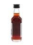 Foxdenton Sloe Gin Liqueur  5cl / 27%