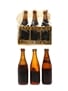 Assorted Beer Miniatures Including Guinness 