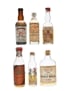 Assorted Blended Scotch Whisky Bottled 1950s 6 x 5cl