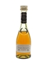 Janneau VSOP Grand Armagnac  5cl / 40%