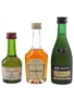 Courvoisier, Hennessy & Remy Martin  3 x 2.7cl- 5cl / 40%