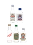 Assorted English Vodka Chekov, Cossack, Moonshine, Wolfschmidt & Zamoyski 5 x 5cl