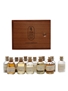 Lagavulin Tasting Companion 200th Anniversary 12 x 3cl