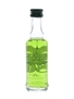 Absinthe Cannabis 80  4cl / 70%