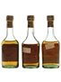 Gonzalez Byass 96, Insuperable & Soberano Bottled 1960s-1970s 3 x 5cl