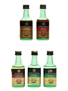 Assorted Camel Liqueurs  5 x 2.8cl