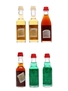 Cora, Cynar, Gambarotta & Pack Liqueurs  6 x 2.5cl-4cl