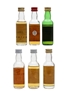 Assorted Blended Scotch Whisky Dun Carloway, Glen Calder, Glen Saunders, Leland's, Pheasant Plucker, Te Bheag 6 x 5cl / 40%