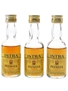 Istra Premier Vinjak  3 x 7cl / 40%