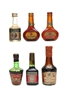 Assorted Fruit Brandies Miniatures 5cl & 5 x 3cl