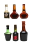 Assorted Fruit Brandies Miniatures 5cl & 5 x 3cl