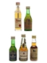 Assorted Brandy Bottled 1970s 5 x 4cl-4.5cl