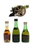 Courvoisier, Martell, Remy Martin & Salignac  4 x 3cl-5cl