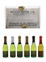 Alpa Novelty Champagne Bottles  6 x 1.1cl