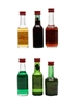 Assorted Bols Liqueur  6 x 3.5cl-5cl