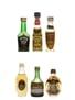 Assorted Brandy Buton, Landy Freres, Metaxa, Seguin 6 x 3cl-5cl