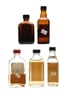 Assorted Miniature Whiskies  5 x 5cl