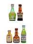 Assorted French Liqueurs Benedictine, Cherry Marnier, Cointreau, Grand Marnier & Ricard 5 x 2.8cl - 3cl