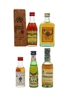 Assorted Brandy Cardenal Mendoza, Metaxa, Osborne & Pedro Domecq 5 x 3cl - 5cl