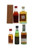 Assorted Brandy Cardenal Mendoza, Metaxa, Osborne & Pedro Domecq 5 x 3cl - 5cl