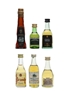 Assorted Aguardiente & Brandy  6 x 4cl-5cl