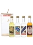 Bardinet Gift Pack Banane Liqueur, Dry Gin, Kirsch Pur & Negrita 4 x 5cl