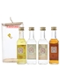 Bardinet Gift Pack Banane Liqueur, Dry Gin, Kirsch Pur & Negrita 4 x 5cl