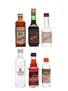 Assorted Bols Liqueurs & Vodka  6 x 2.7cl-5cl