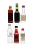 Assorted Bols Liqueurs & Vodka  6 x 2.7cl-5cl