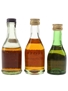 Salignac Cognac Bottled 1960s-1970s 3 x 3cl-5cl / 40%