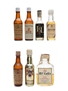 Assorted Whisky Miniatures  10cl & 6 x 5cl