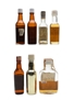 Assorted Whisky Miniatures  10cl & 6 x 5cl