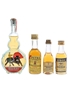 Assorted Brandy  4 x 2.5cl-5cl