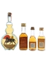 Assorted Brandy  4 x 2.5cl-5cl