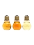 Light Bulb VSOP Brandy Miniatures  3 x 5cl