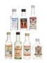 Assorted Vodka Miniatures  7 x 5cl